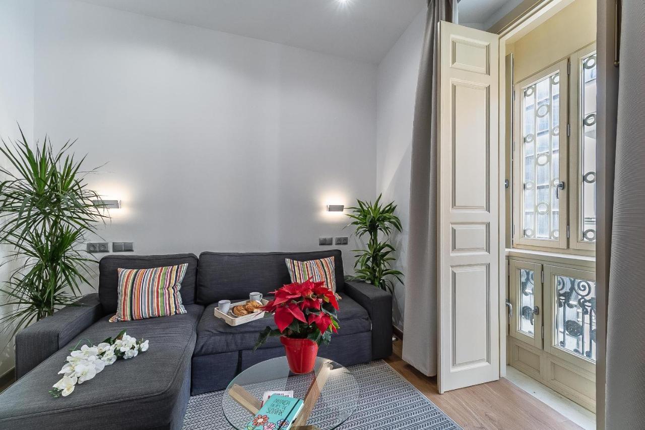 Deluxe Larios Center Leilighet *